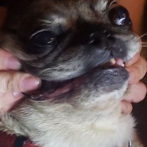 Meet your Posher, Jack